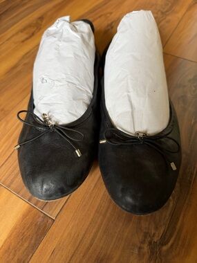 Sam Edelman Felicia Black Women's Leather Ballet Flats